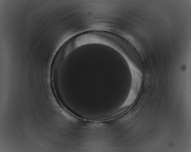 X0000089761331200707121354