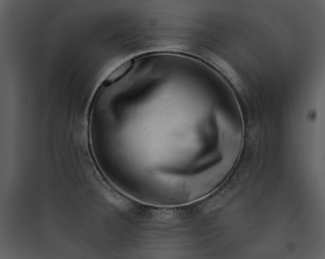 X0000089761332200707121354