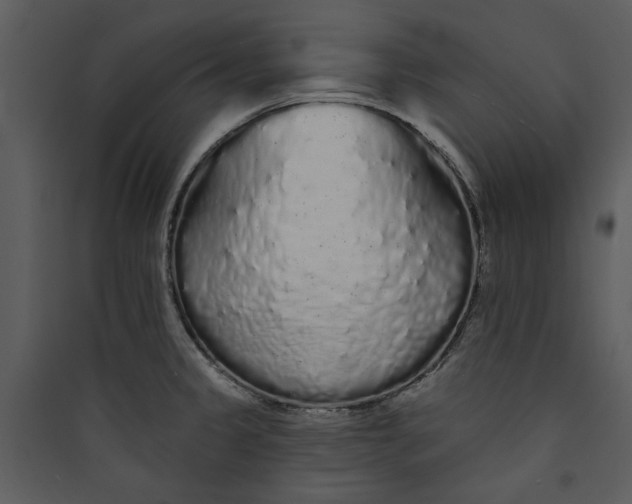 X0000089761333200707121354