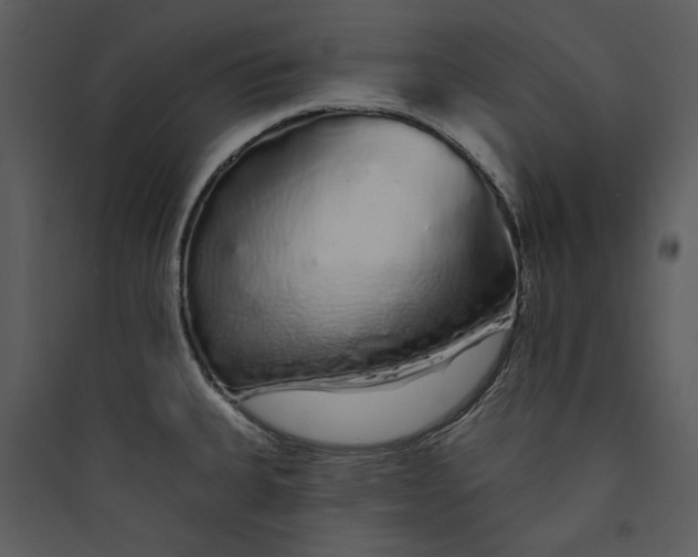 X0000089761335200707121354