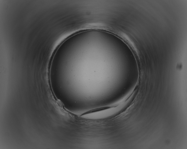 X0000089761336200707121355