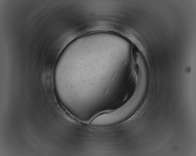 X0000089761337200707121355