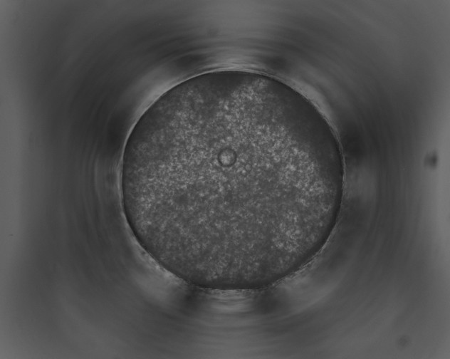 X0000089761338200707121355