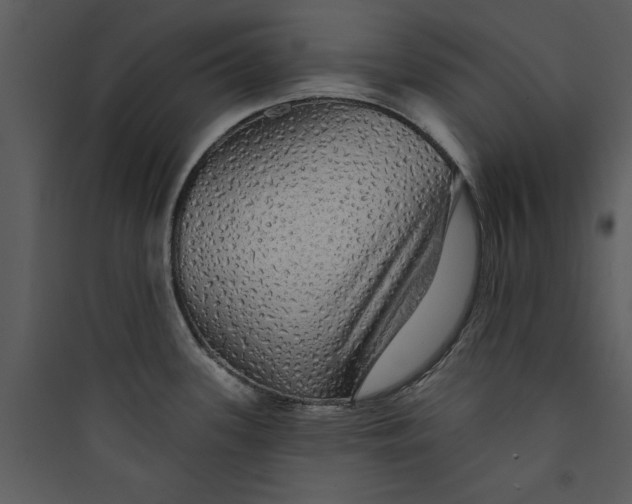 X0000089761339200707121355