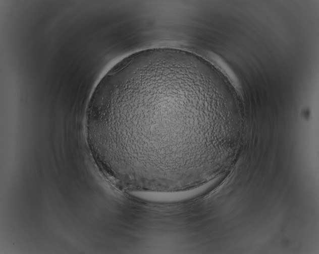 X0000089761340200707121355