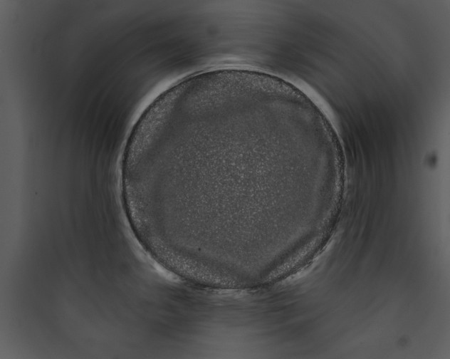 X0000089761341200707121355