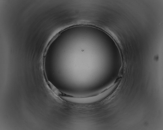 X0000089761342200707121355