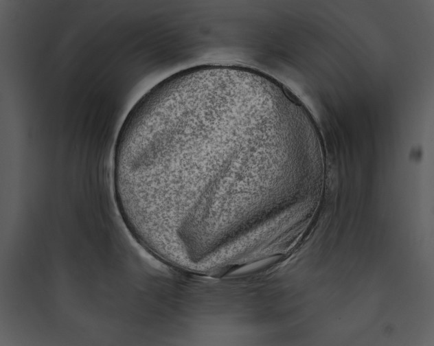 X0000089761343200707121355