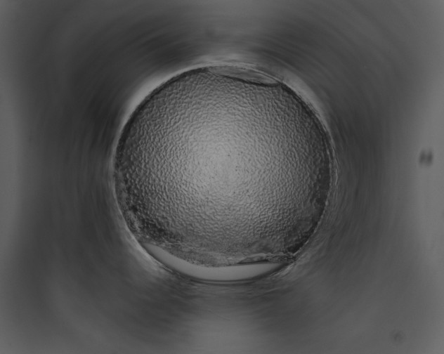 X0000089761344200707121355