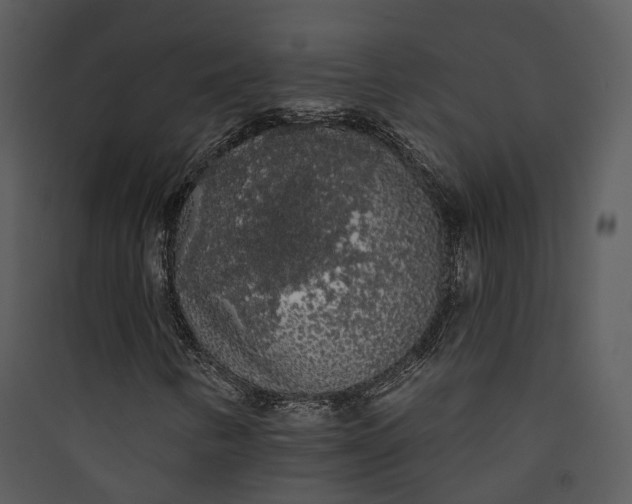 X0000089761346200707121354