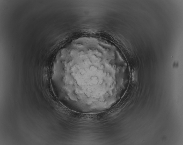 X0000089761347200707121354