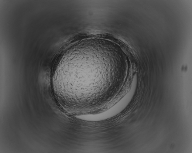 X0000089761348200707121354