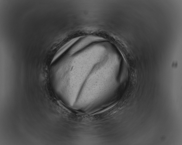 X0000089761349200707121354