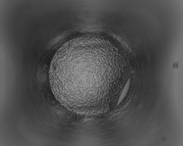 X0000089761350200707121354