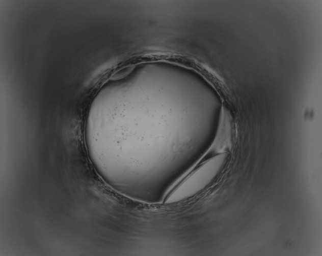 X0000089761351200707121354