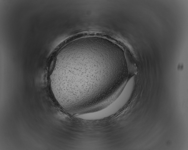 X0000089761352200707121354