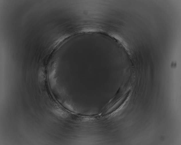 X0000089761353200707121354