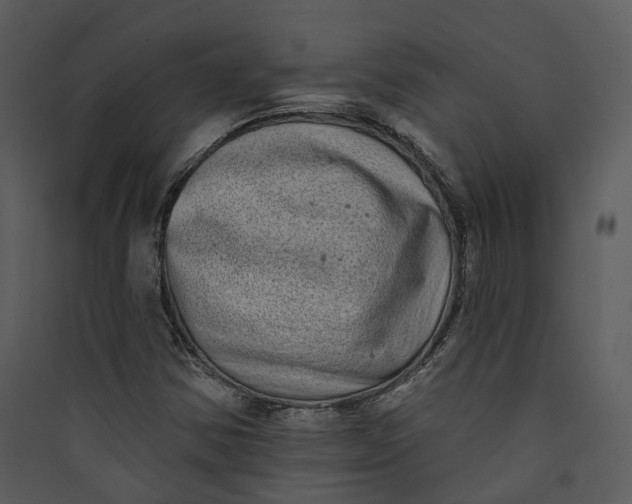 X0000089761354200707121354