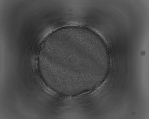 X0000089761355200707121354