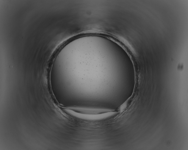 X0000089761356200707121354