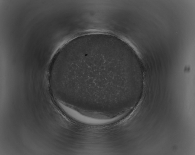 X0000089761357200707121354