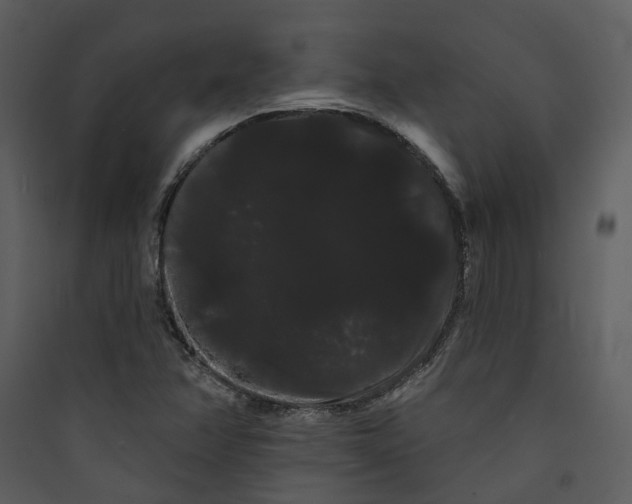 X0000089761358200707121354