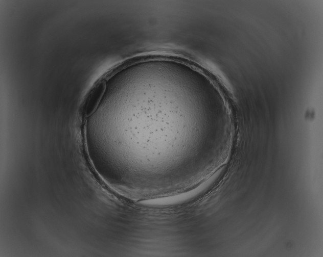 X0000089761360200707121354