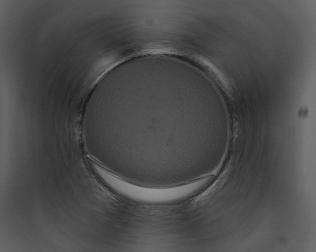 X0000089761361200707121354