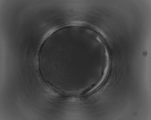 X0000089761362200707121354