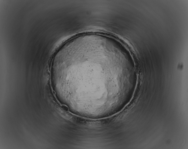 X0000089761363200707121354