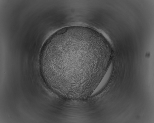 X0000089761364200707121354