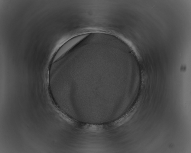 X0000089761365200707121354