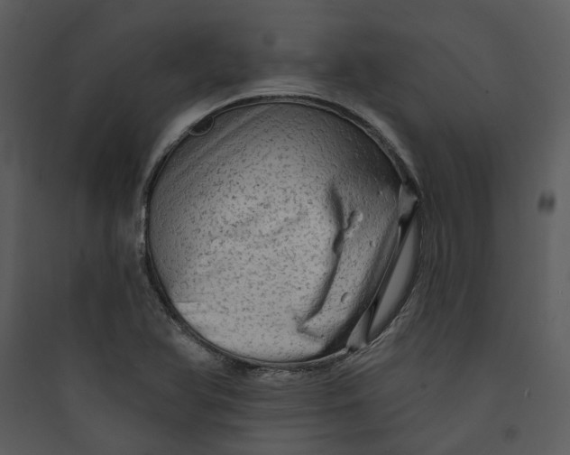 X0000089761366200707121354