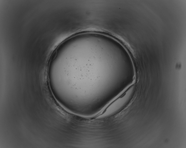 X0000089761367200707121354