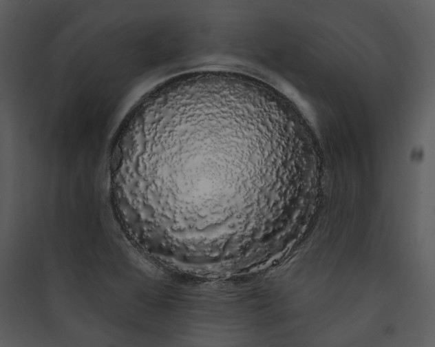 X0000089761368200707121354