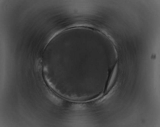 X0000089761369200707121354