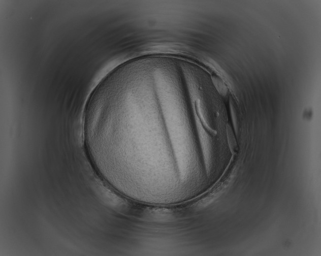 X0000089761370200707121354