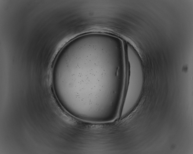 X0000089761371200707121354