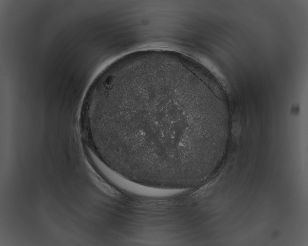 X0000089761372200707121353