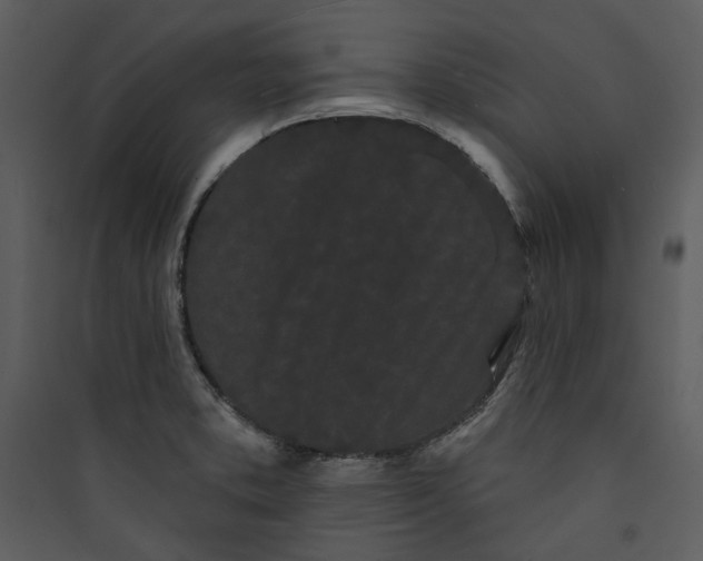 X0000089761373200707121353