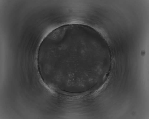 X0000089761374200707121353