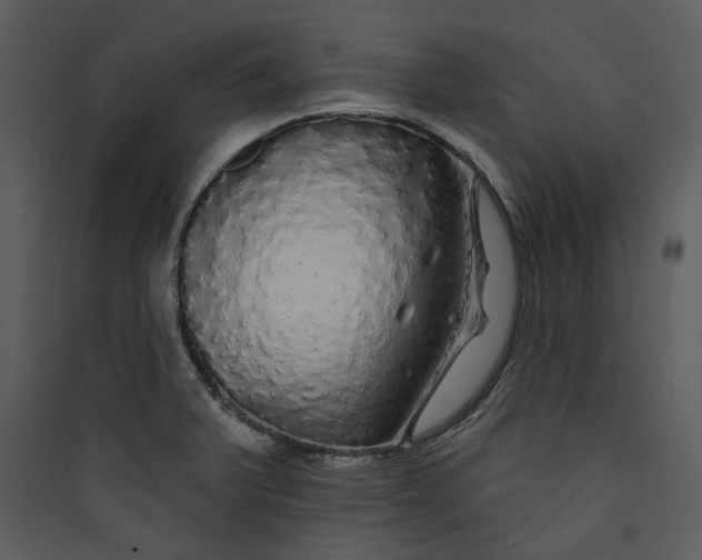 X0000089761375200707121353