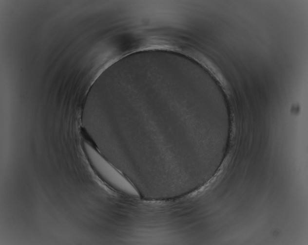 X0000089761377200707121353