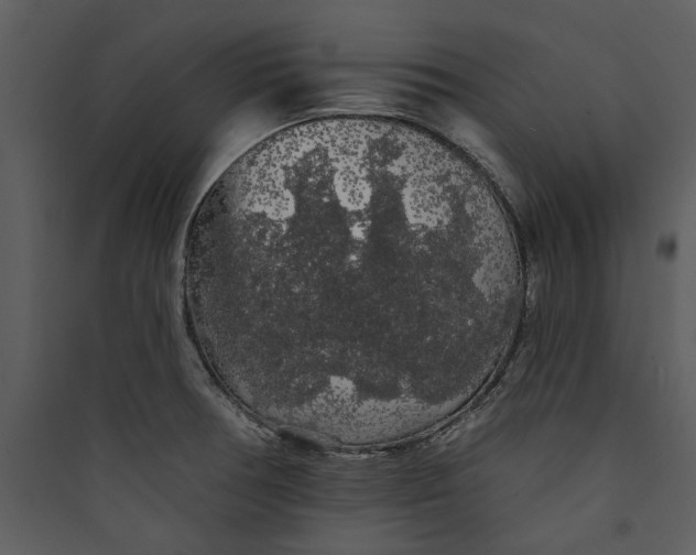 X0000089761378200707121353