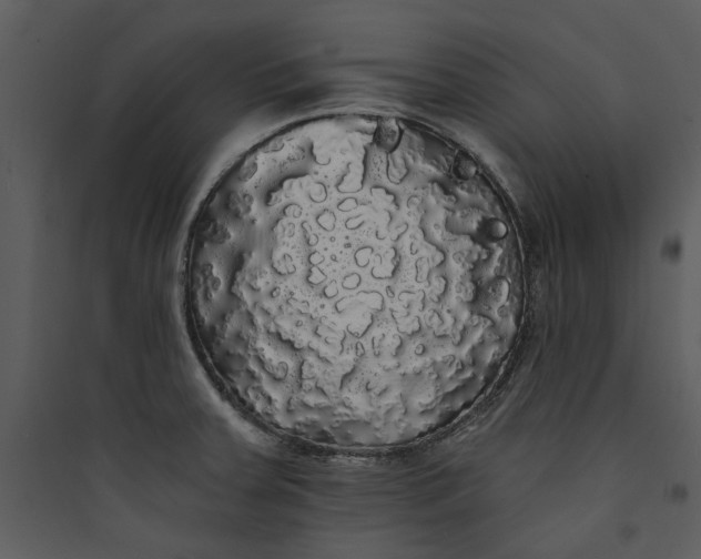 X0000089761379200707121353