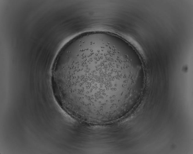 X0000089761380200707121353