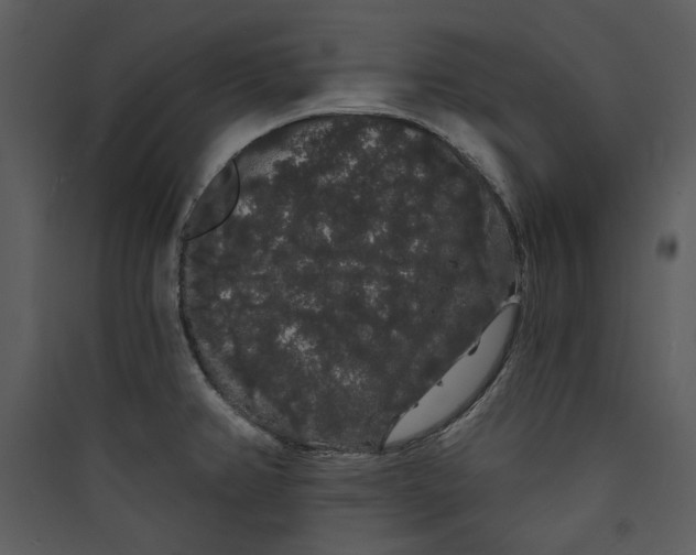 X0000089761382200707121353