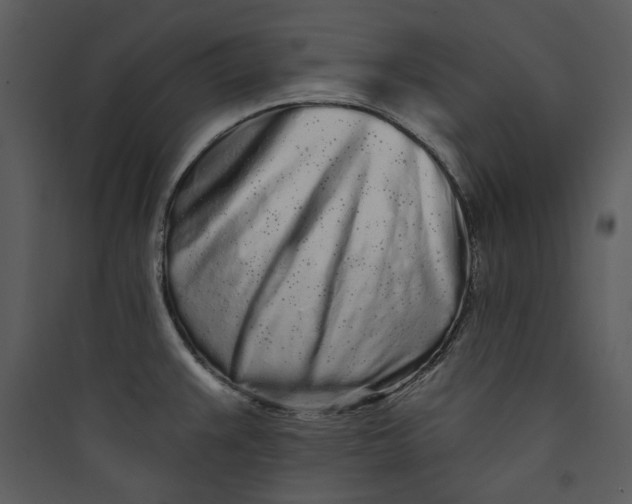 X0000089761383200707121353