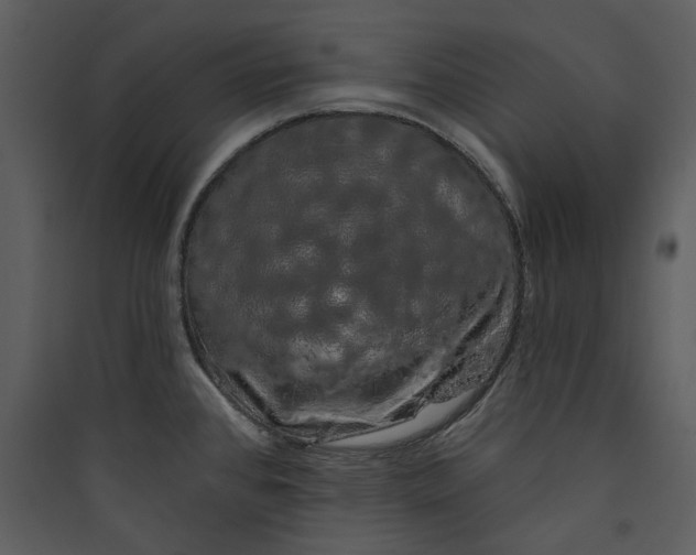 X0000089761384200707121353