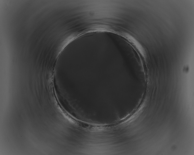 X0000089761385200707121353